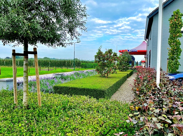 Jaarlijks tuinonderhoud bij een bedrijfspand op contractbasis